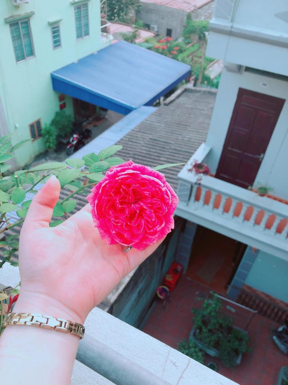 Pi'S Homestay Catba Dong Khe Sau المظهر الخارجي الصورة